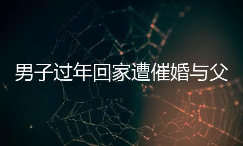 男子過年回家遭催婚與父親辯論被KO，一場關(guān)于婚戀觀的激烈碰撞