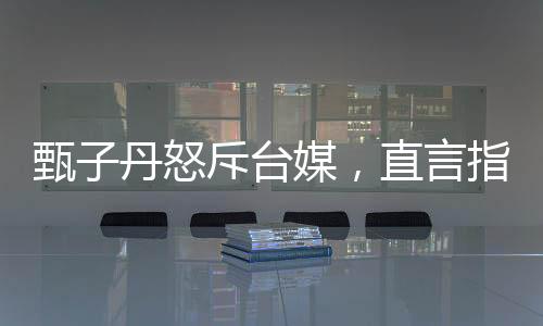 甄子丹怒斥臺(tái)媒，直言指責(zé)背后的真相與反思