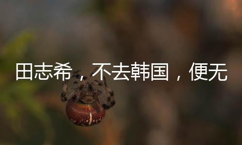 田志希，不去韓國，便無乒乓球生涯
