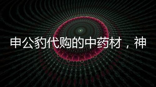 申公豹代購的中藥材，神秘藥材背后的驚人故事