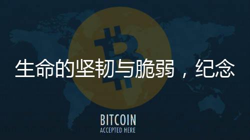生命的堅韌與脆弱，紀念逝去的抗癌博主