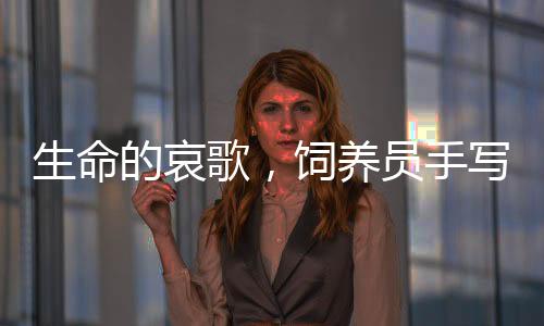 生命的哀歌，飼養(yǎng)員手寫的訃告，紀(jì)念逝去的河馬