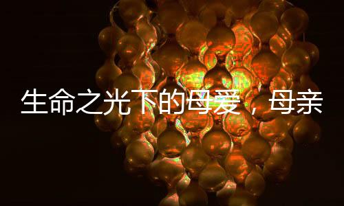 生命之光下的母愛，母親癌癥晚期堅(jiān)守的愛與關(guān)懷