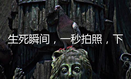 生死瞬間，一秒拍照，下一秒被撞飛
