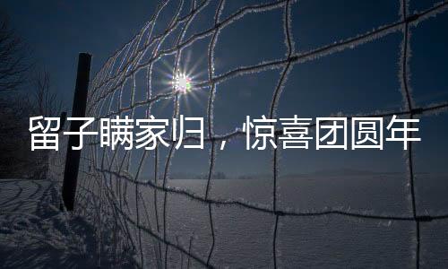 留子瞞家歸，驚喜團圓年