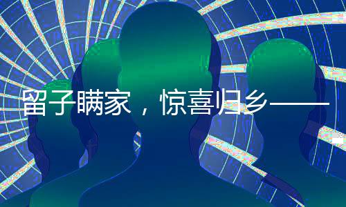 留子瞞家，驚喜歸鄉(xiāng)——一場(chǎng)溫馨的過(guò)年團(tuán)圓