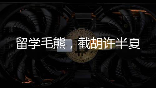 留學(xué)毛熊，截胡許半夏