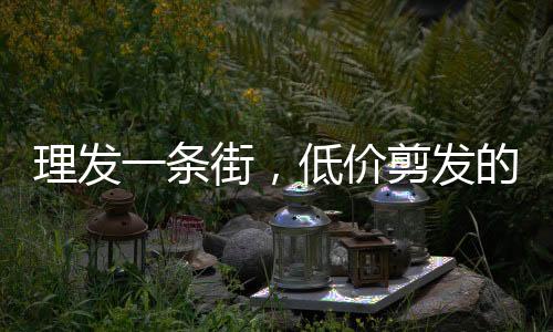 理發(fā)一條街，低價(jià)剪發(fā)的魅力與挑戰(zhàn)