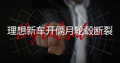 理想新車開倆月輪轂斷裂事件揭秘，車主遭遇與4S店回應(yīng)