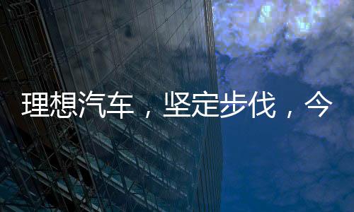 理想汽車，堅(jiān)定步伐，今年純電SUV即將問世