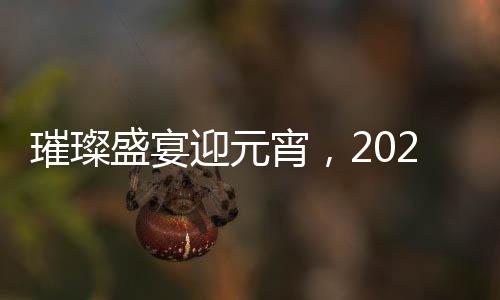 璀璨盛宴迎元宵，2025江蘇衛(wèi)視元宵晚會(huì)全景解析