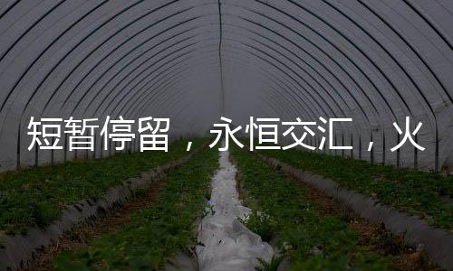 短暫停留，永恒交匯，火車停靠四十秒的奇遇