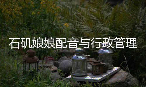 石磯娘娘配音與行政管理，發(fā)掘幕后魅力，揭秘行政新風尚
