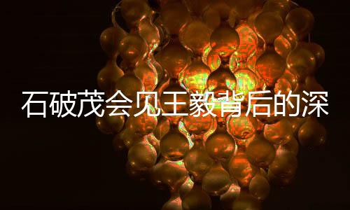 石破茂會見王毅背后的深層意義及影響因素分析