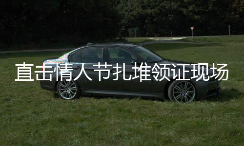 直擊情人節(jié)扎堆領(lǐng)證現(xiàn)場，浪漫盛宴下的冷靜觀察