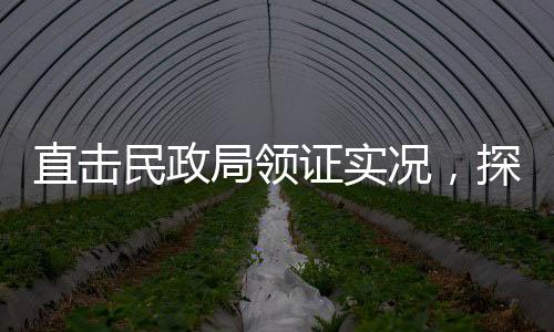 直擊民政局領(lǐng)證實(shí)況，探訪婚姻登記現(xiàn)場