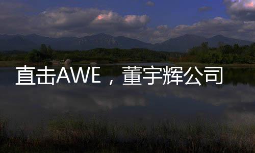 直擊AWE，董宇輝公司一日帶貨超1億——科技巨頭的新零售奇跡