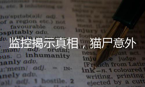 監(jiān)控揭示真相，貓尸意外發(fā)現(xiàn)引發(fā)課堂驚變