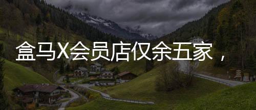 盒馬X會(huì)員店僅余五家，深度解讀其經(jīng)營(yíng)狀況與市場(chǎng)布局