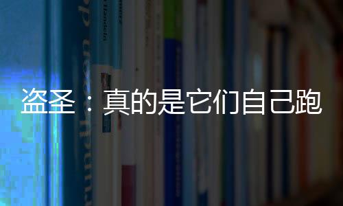盜圣：真的是它們自己跑過來的