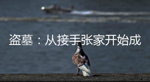 盜墓：從接手張家開始成神！