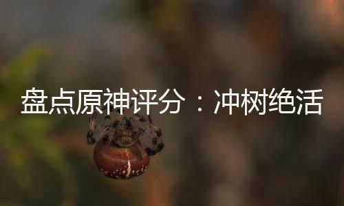 盤點(diǎn)原神評(píng)分：沖樹絕活哥奧托？