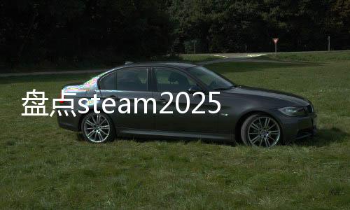 盤點steam2025年新品節(jié)熱門游戲，國產作品表現亮眼