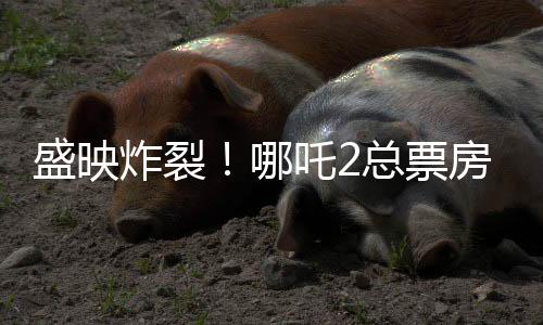 盛映炸裂！哪吒2總票房突破143億，再創(chuàng)國產(chǎn)動(dòng)畫神話！