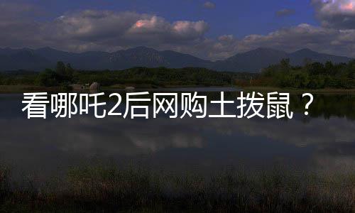 看哪吒2后網(wǎng)購?fù)翐苁?？疾控發(fā)聲