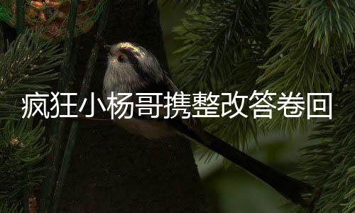 瘋狂小楊哥攜整改答卷回歸，全面自我革新，再展網紅風采