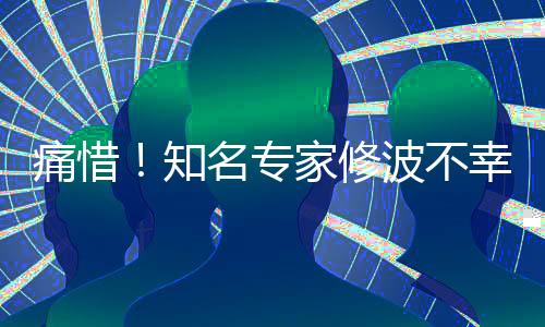 痛惜！知名專家修波不幸離世，享年XX歲，交通意外成人生終點