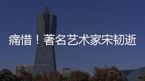 痛惜！著名藝術家宋韌逝世