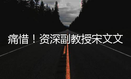 痛惜！資深副教授宋文文英年早逝