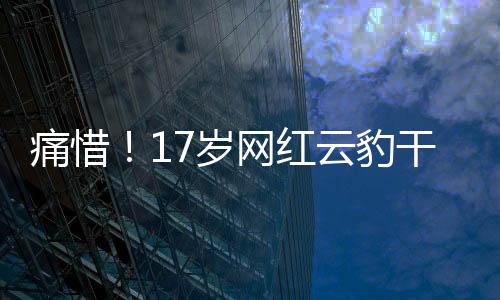 痛惜！17歲網(wǎng)紅云豹干干離世，悼念一顆閃耀星辰的隕落