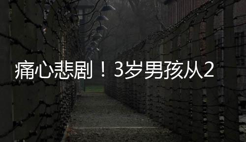 痛心悲??！3歲男孩從27樓走廊墜亡