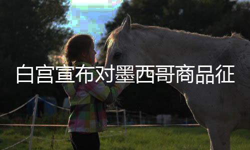 白宮宣布對墨西哥商品征收25%關(guān)稅，全球貿(mào)易關(guān)系面臨新的挑戰(zhàn)