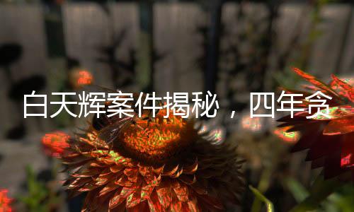 白天輝案件揭秘，四年貪污十一億，二審維持死刑判決