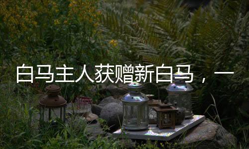 白馬主人獲贈新白馬，一段佳話的傳承與續(xù)寫
