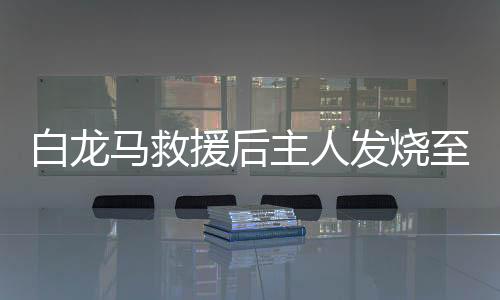 白龍馬救援后主人發(fā)燒至40度，一份跨越風(fēng)雨的患難真情