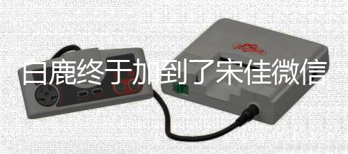 白鹿終于加到了宋佳微信，演藝界的新友情故事