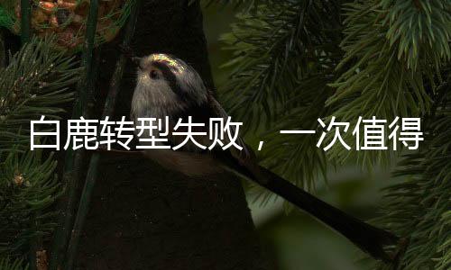 白鹿轉(zhuǎn)型失敗，一次值得探討的藝術(shù)挑戰(zhàn)