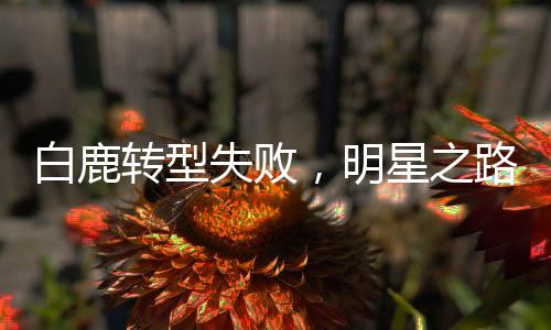 白鹿轉(zhuǎn)型失敗，明星之路的挑戰(zhàn)與反思