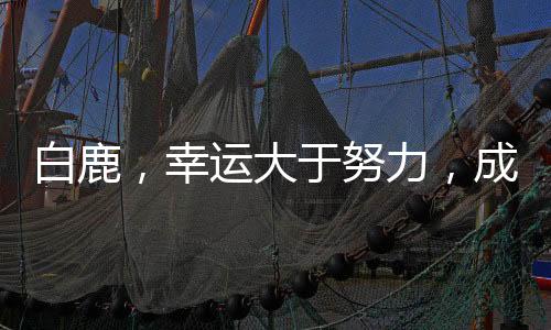 白鹿，幸運大于努力，成就今日輝煌
