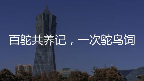 百鴕共養(yǎng)記，一次鴕鳥(niǎo)飼養(yǎng)與美食直播之旅