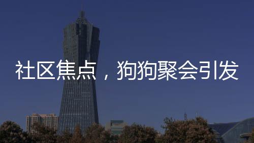 社區(qū)焦點(diǎn)，狗狗聚會(huì)引發(fā)關(guān)注，挨家挨戶搖狗打架現(xiàn)象引發(fā)討論