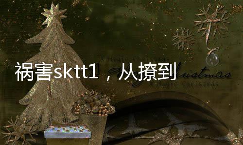 禍害sktt1，從撩到恩靜開(kāi)始