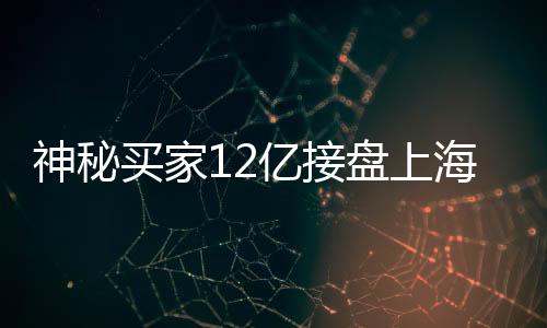 神秘買(mǎi)家12億接盤(pán)上海城隍廟廣場(chǎng)，交易背后的故事