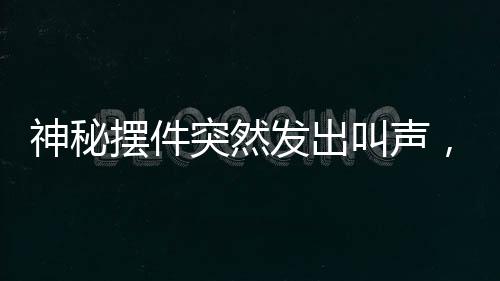 神秘?cái)[件突然發(fā)出叫聲，男子遭遇驚悚一刻