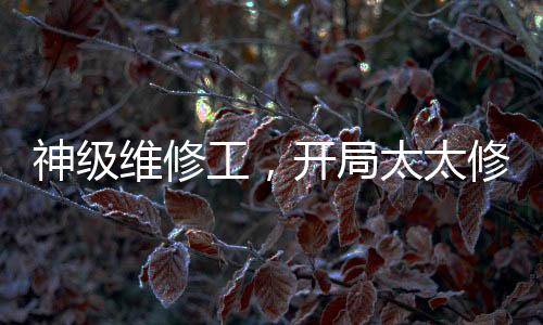 神級維修工，開局太太修水管