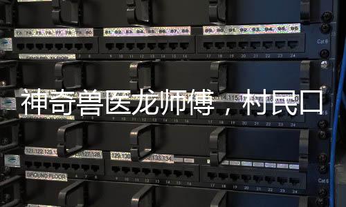 神奇獸醫(yī)龍師傅，村民口中的治愈奇跡